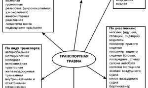 Виды травм при ДТП и степень их тяжести