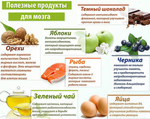 Продукты полезные для мозга