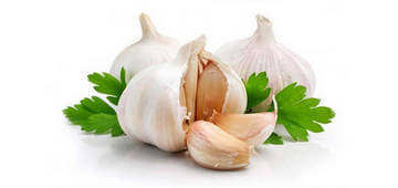 Чеснок против глистов Чеснок против глистов
