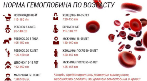 Норма гемоглобина в крови