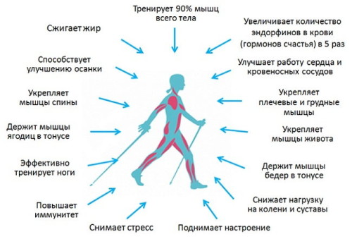 Польза от быстрой ходьбы