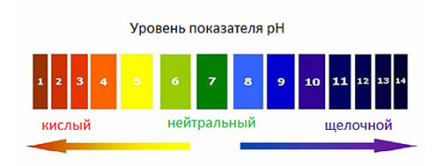 Уровень pH в организме