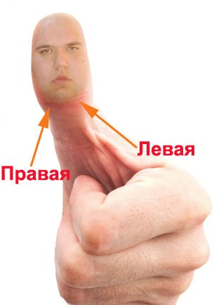 Какой бывает ангина? Какой бывает ангина?