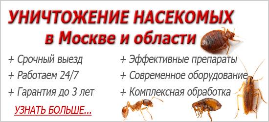 Инструкция по применению магния сульфата как слабительного средства (с ценами и отзывами) Инструкция по применению магния сульфата как слабительного средства (с ценами и отзывами)
