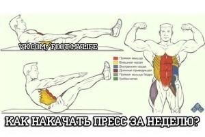 Обзор полезных продуктов для желчного пузыря Обзор полезных продуктов для желчного пузыря