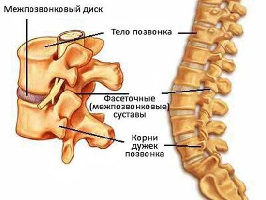 Упражнения при грудном остеохондрозе по бубновскому Упражнения при грудном остеохондрозе по бубновскому