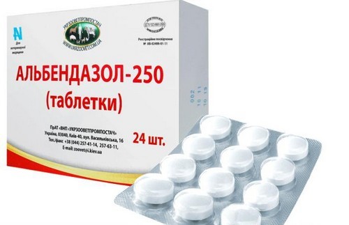 Эффективные таблетки от глистов для детей Эффективные таблетки от глистов для детей