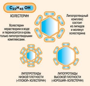 Народные рецепты для снижения показателей холестерина Народные рецепты для снижения показателей холестерина