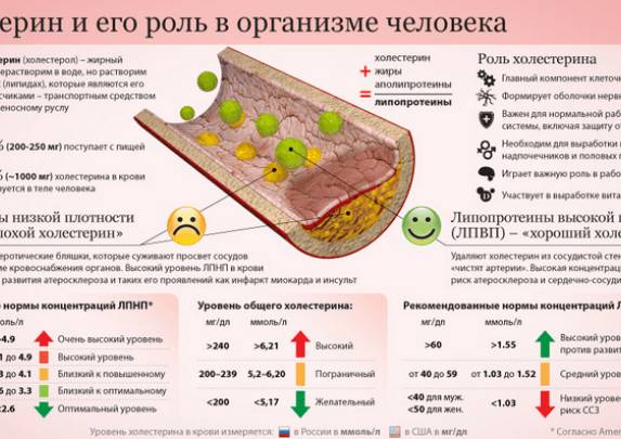 Народные рецепты для снижения показателей холестерина Народные рецепты для снижения показателей холестерина