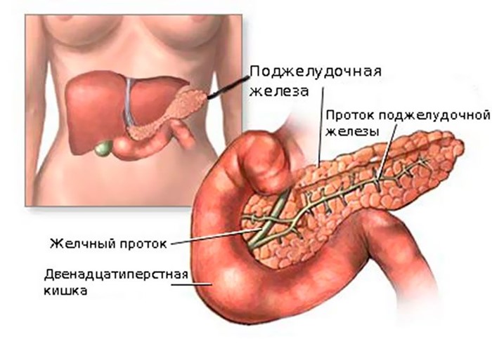 Что делать чтобы вылечить панкреатит Что делать чтобы вылечить панкреатит
