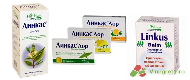 Сироп от кашля Линкас: состав и показания к применению Сироп от кашля Линкас: состав и показания к применению
