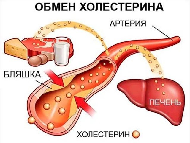 Нормальные показатели нормы сахара и холестерина в крови Нормальные показатели нормы сахара и холестерина в крови