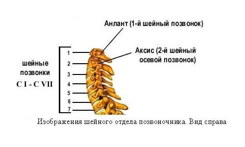 Причины и последствия перелома шейного отдела позвоночника Причины и последствия перелома шейного отдела позвоночника