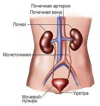 Почему колит в правом боку: какие болезни провоцируют боль Почему колит в правом боку: какие болезни провоцируют боль