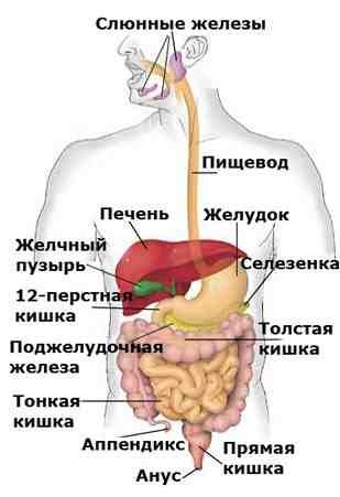 Почему колит в правом боку: какие болезни провоцируют боль Почему колит в правом боку: какие болезни провоцируют боль
