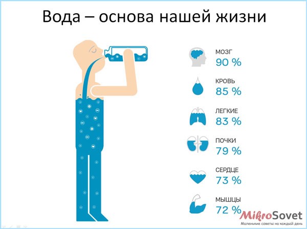 Разжижение крови: препараты, разжижающие продукты Разжижение крови: препараты, разжижающие продукты