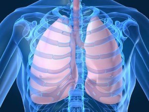 Правила оказания первой помощи при переломе ребер Правила оказания первой помощи при переломе ребер