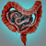 Симптоматика и лечение хронического колита у взрослых Симптоматика и лечение хронического колита у взрослых