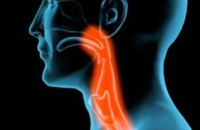 Причины, признаки, диагностика, способы лечения и профилактики стеноза трахеи Причины, признаки, диагностика, способы лечения и профилактики стеноза трахеи