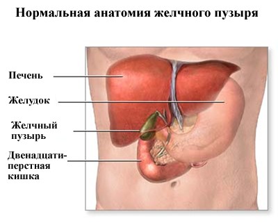 После удаления желчного пузыря проблемы с пищеварением После удаления желчного пузыря проблемы с пищеварением